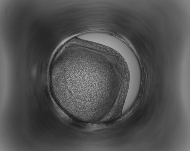 X0000083580795200703021814