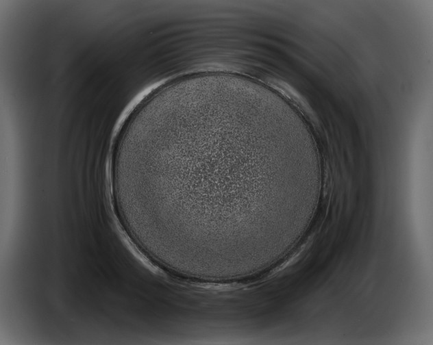 X0000083580796200703021814