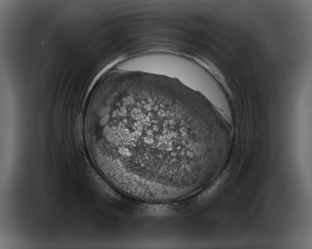 X0000083580798200703021814