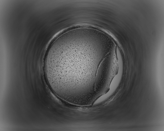 X0000083580799200703021814