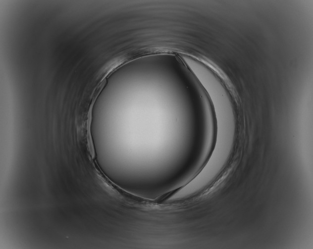 X0000083580801200703021814