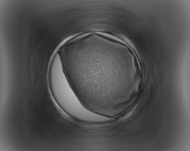 X0000083580803200703021814