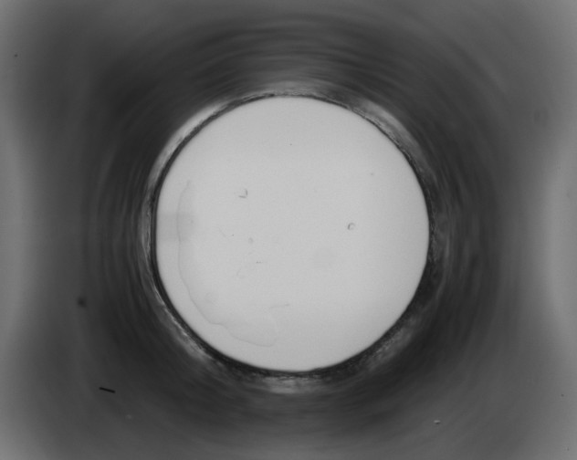 X0000083580804200703021814