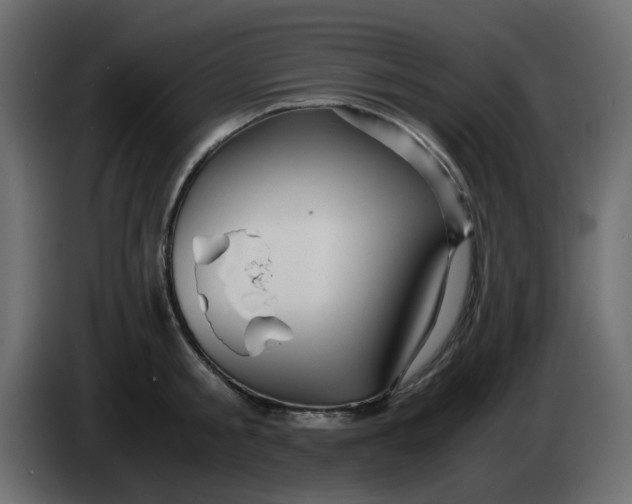 X0000083580805200703021814