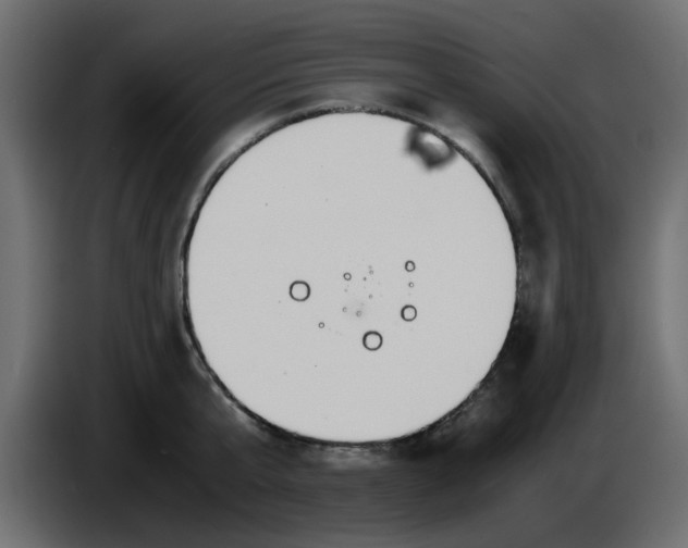 X0000083580807200703021814