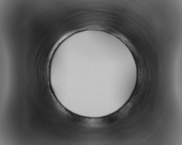 X0000083580808200703021814