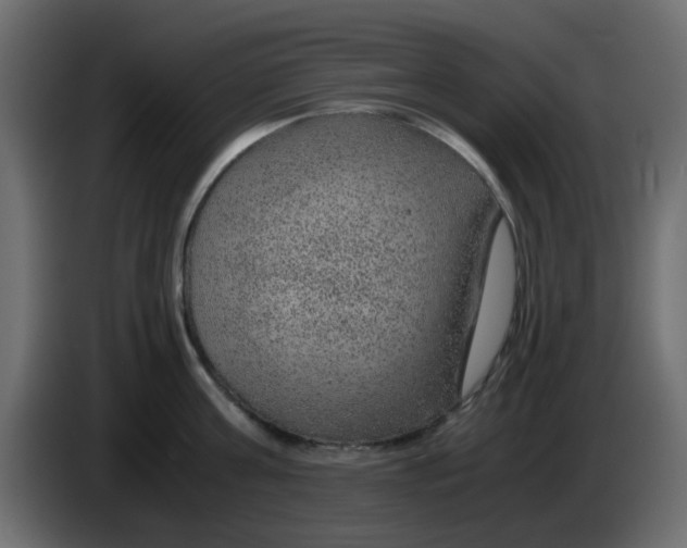 X0000083580811200703021814