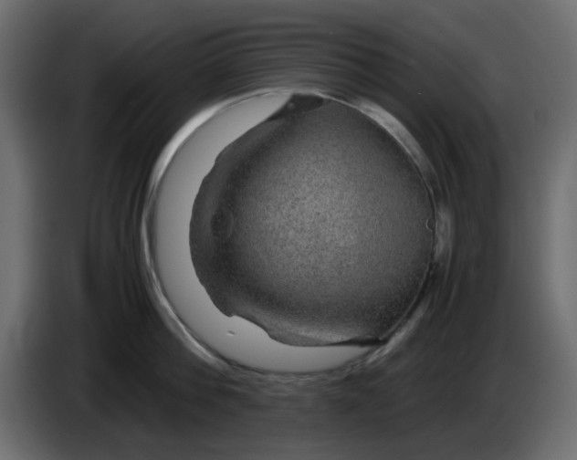 X0000083580812200703021814