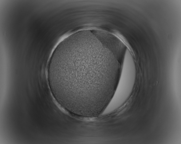 X0000083580813200703021814