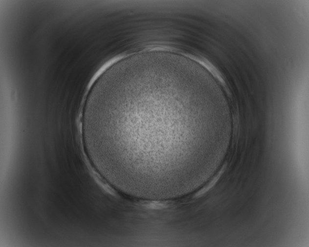 X0000083580814200703021814