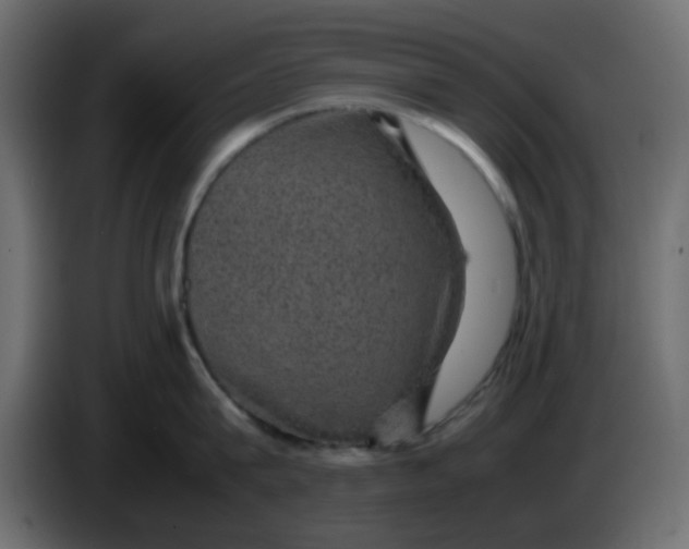 X0000083580815200703021814