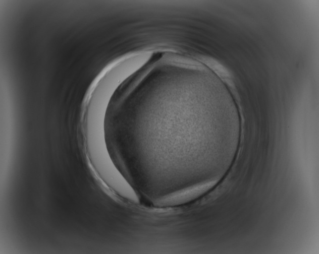 X0000083580816200703021814