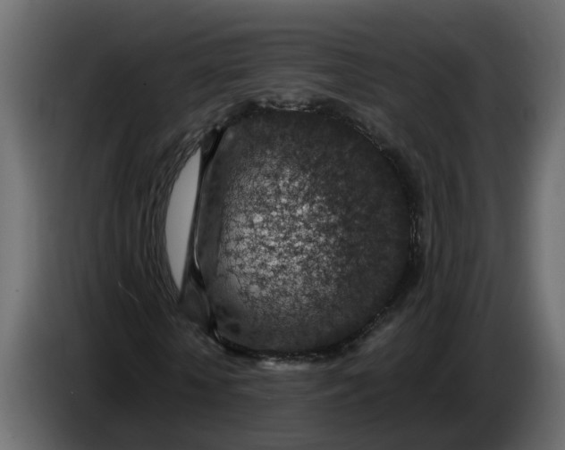 X0000083580818200703021813