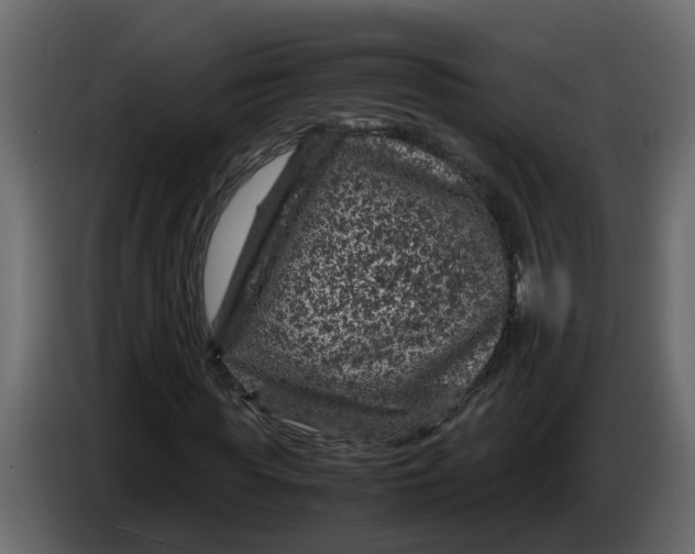 X0000083580819200703021813