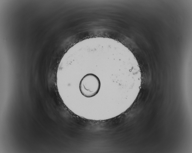 X0000083580820200703021813