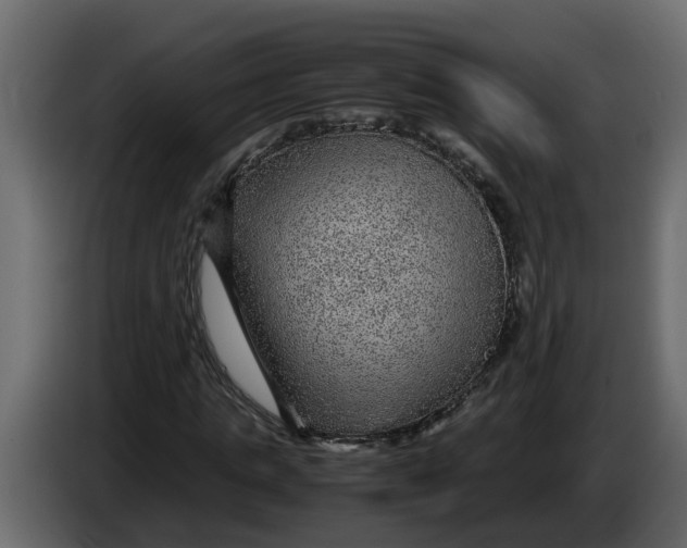 X0000083580821200703021813