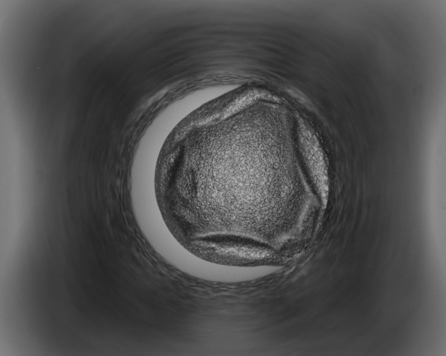 X0000083580822200703021813