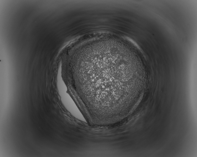 X0000083580823200703021813