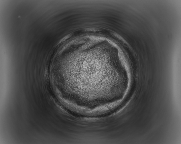 X0000083580825200703021813