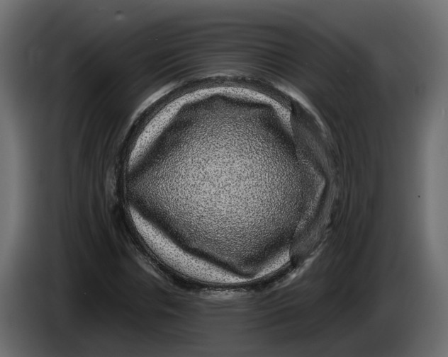 X0000083580826200703021813