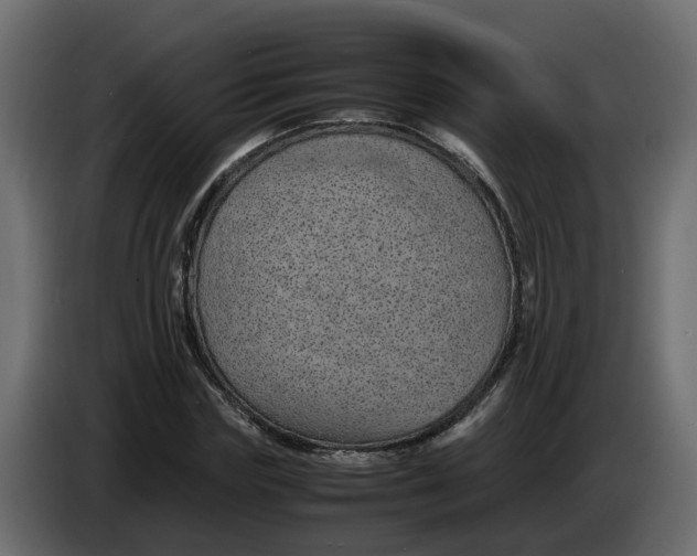 X0000083580827200703021813