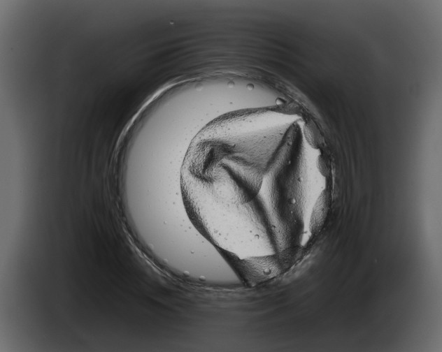 X0000083580828200703021813