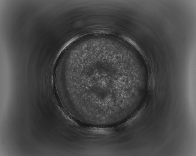 X0000083580829200703021813