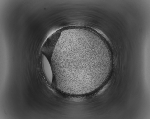 X0000083580830200703021813