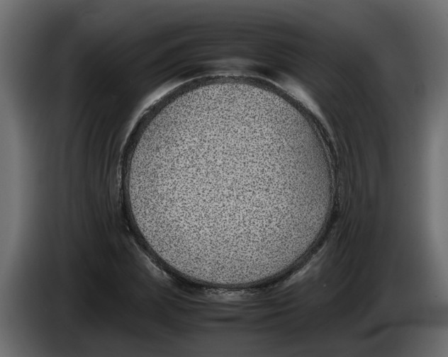 X0000083580831200703021813