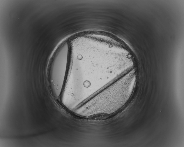 X0000083580832200703021813