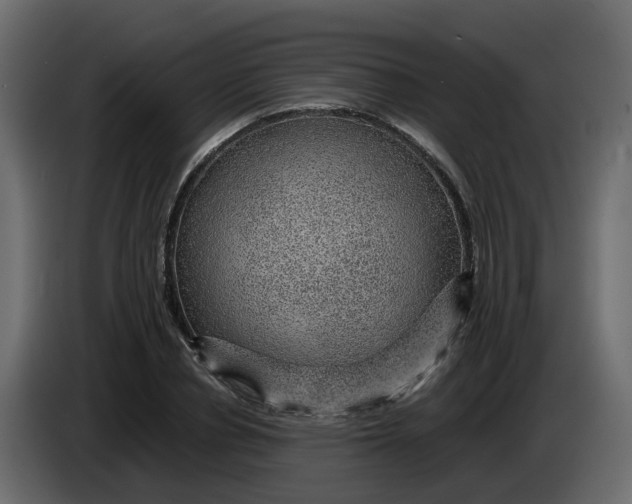 X0000083580834200703021813