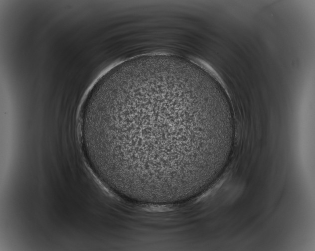 X0000083580835200703021813