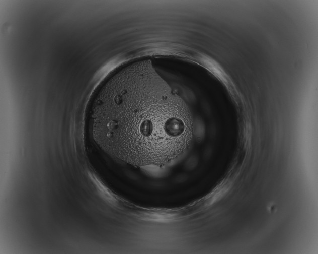 X0000083580836200703021813