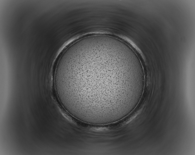 X0000083580837200703021813