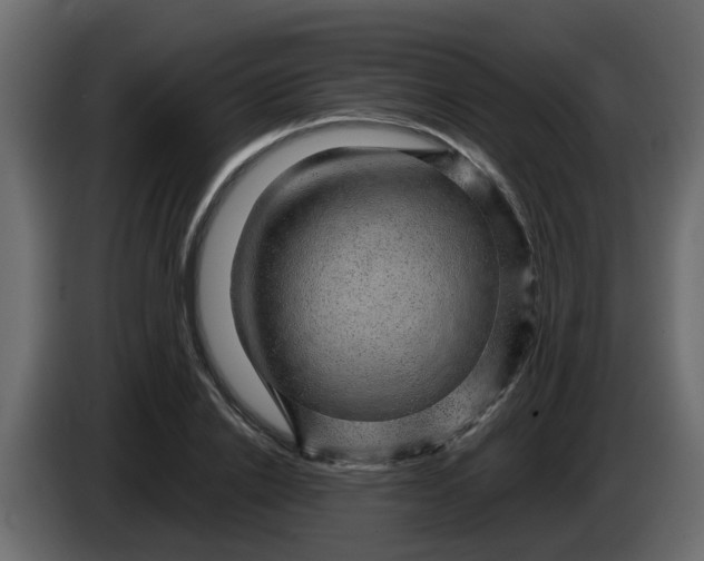 X0000083580838200703021813