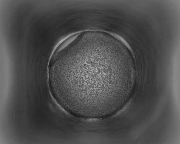 X0000083580839200703021813