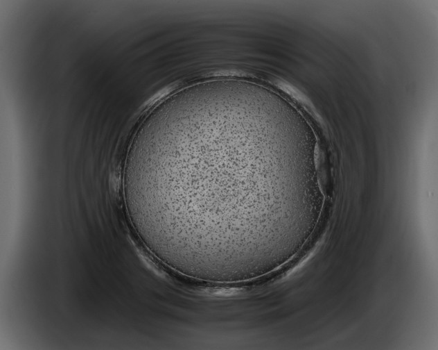 X0000083580841200703021813