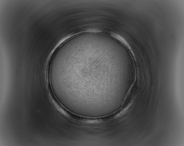 X0000083580843200703021813