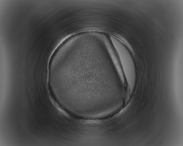 X0000083580844200703021813