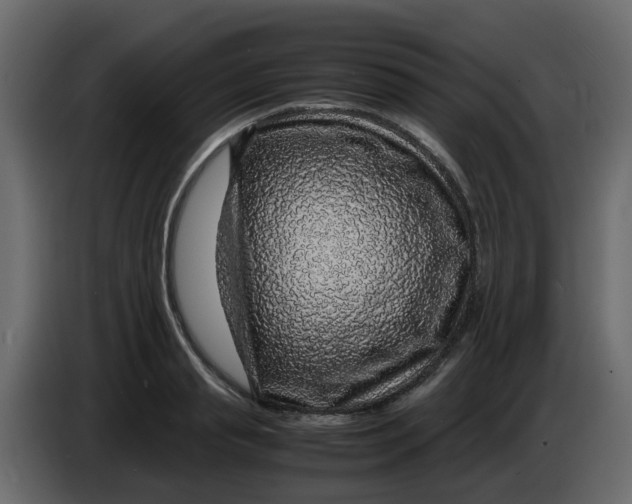 X0000083580845200703021813