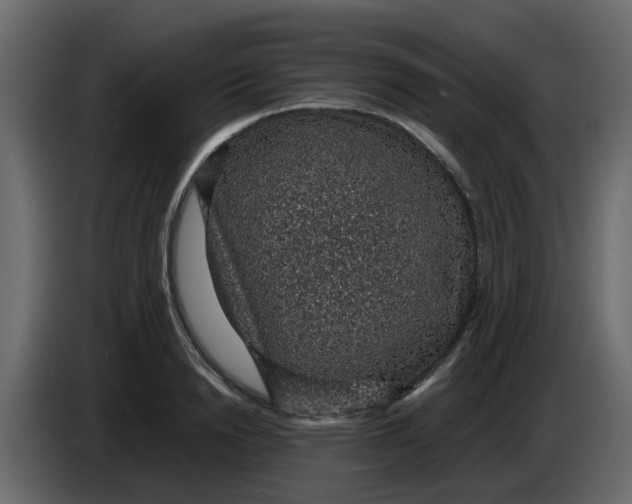 X0000083580846200703021813