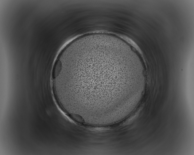 X0000083580847200703021813