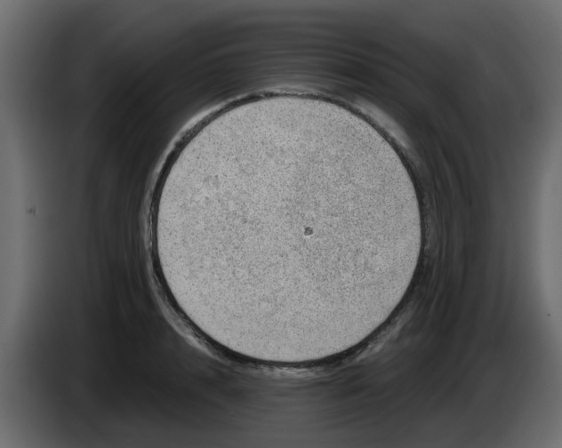 X0000083580848200703021813