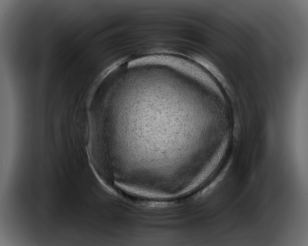 X0000083580849200703021813