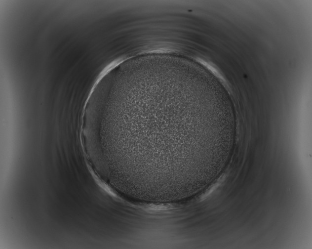 X0000083580850200703021813