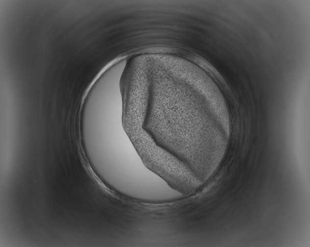 X0000083580852200703021813