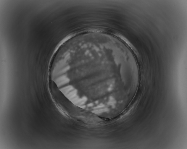 X0000083580853200703021813