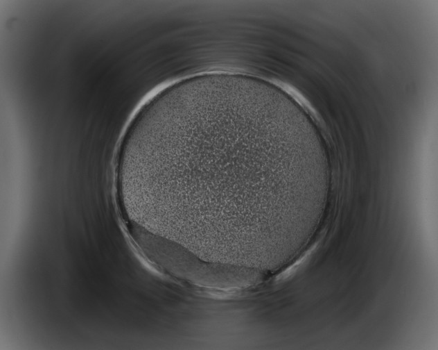 X0000083580854200703021813