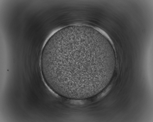 X0000083580855200703021813