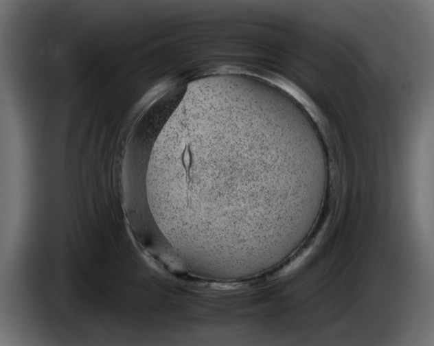 X0000083580857200703021813